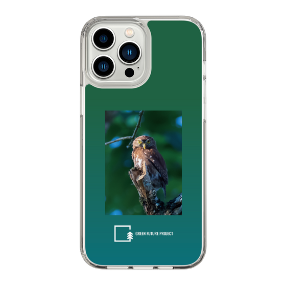 Slim Protection Case［ Green Future Project - Ferruginous Pygmy Owl ］