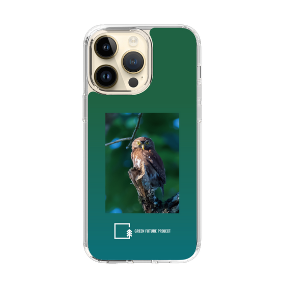 Slim Protection Case［ Green Future Project - Ferruginous Pygmy Owl ］