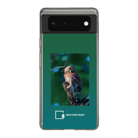 Slim Protection Case［ Green Future Project - Ferruginous Pygmy Owl ］