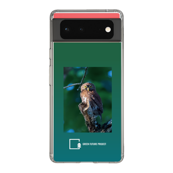 Slim Protection Case［ Green Future Project - Ferruginous Pygmy Owl ］