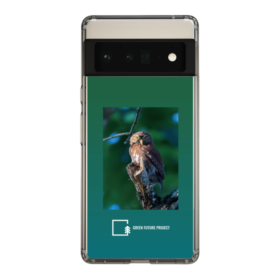 Slim Protection Case［ Green Future Project - Ferruginous Pygmy Owl ］