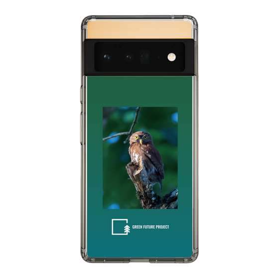 Slim Protection Case［ Green Future Project - Ferruginous Pygmy Owl ］