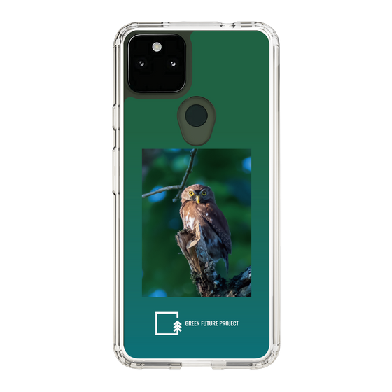 Slim Protection Case［ Green Future Project - Ferruginous Pygmy Owl ］