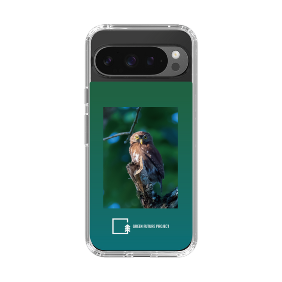 Slim Protection Case［ Green Future Project - Ferruginous Pygmy Owl ］