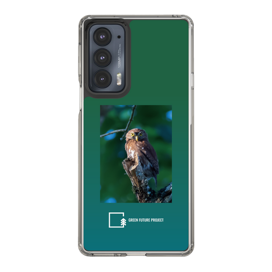 Slim Protection Case［ Green Future Project - Ferruginous Pygmy Owl ］