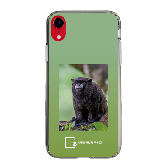 Slim Protection Case［ Green Future Project - Black-mantled Tamarin ］