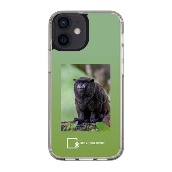 Slim Protection Case［ Green Future Project - Black-mantled Tamarin ］