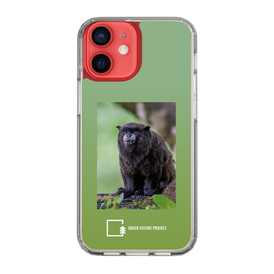 Slim Protection Case［ Green Future Project - Black-mantled Tamarin ］