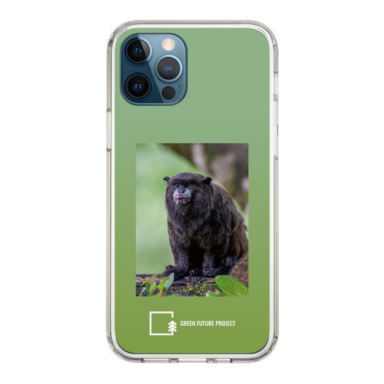 Slim Protection Case［ Green Future Project - Black-mantled Tamarin ］