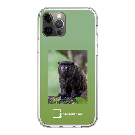 Slim Protection Case［ Green Future Project - Black-mantled Tamarin ］