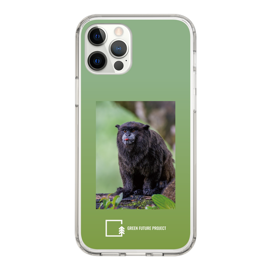 Slim Protection Case［ Green Future Project - Black-mantled Tamarin ］