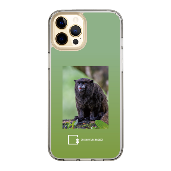 Slim Protection Case［ Green Future Project - Black-mantled Tamarin ］
