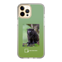 Slim Protection Case［ Green Future Project - Black-mantled Tamarin ］