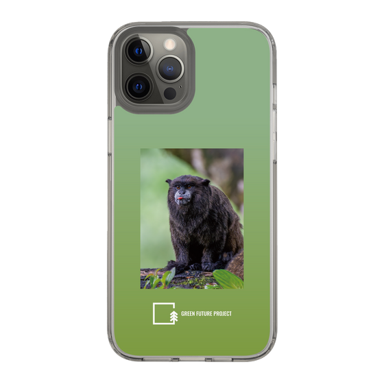 Slim Protection Case［ Green Future Project - Black-mantled Tamarin ］