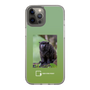 Slim Protection Case［ Green Future Project - Black-mantled Tamarin ］
