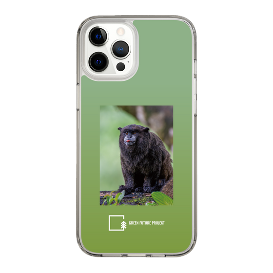 Slim Protection Case［ Green Future Project - Black-mantled Tamarin ］