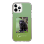 Slim Protection Case［ Green Future Project - Black-mantled Tamarin ］