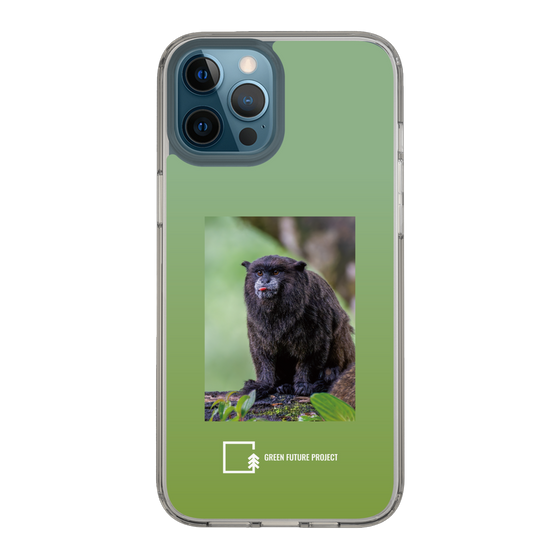 Slim Protection Case［ Green Future Project - Black-mantled Tamarin ］