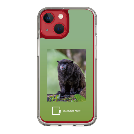 Slim Protection Case［ Green Future Project - Black-mantled Tamarin ］