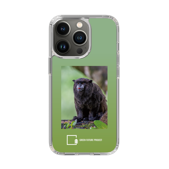 Slim Protection Case［ Green Future Project - Black-mantled Tamarin ］