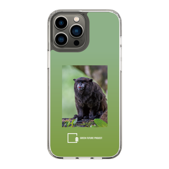 Slim Protection Case［ Green Future Project - Black-mantled Tamarin ］