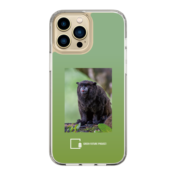 Slim Protection Case［ Green Future Project - Black-mantled Tamarin ］