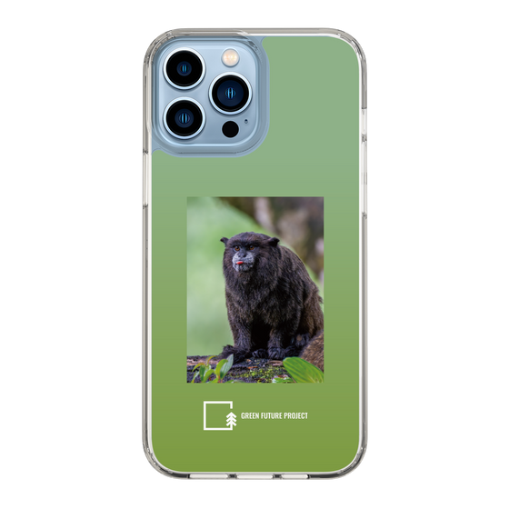 Slim Protection Case［ Green Future Project - Black-mantled Tamarin ］