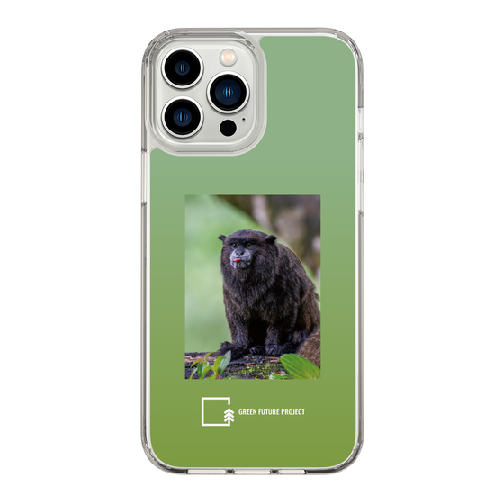 Slim Protection Case［ Green Future Project - Black-mantled Tamarin ］