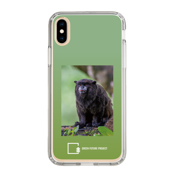 Slim Protection Case［ Green Future Project - Black-mantled Tamarin ］
