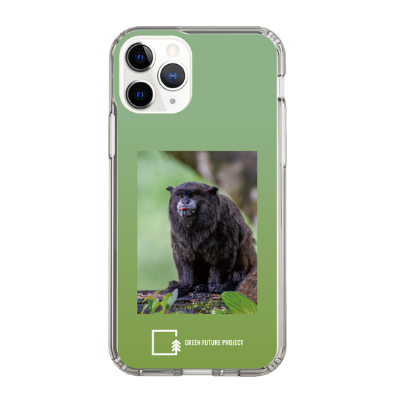 Slim Protection Case［ Green Future Project - Black-mantled Tamarin ］
