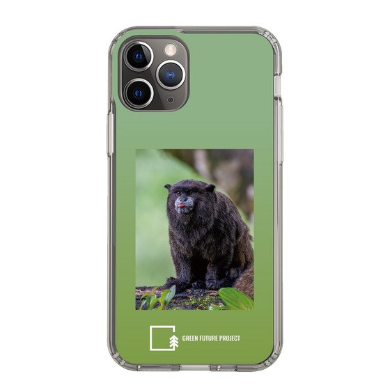 Slim Protection Case［ Green Future Project - Black-mantled Tamarin ］
