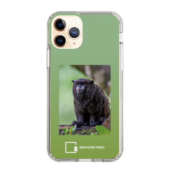 Slim Protection Case［ Green Future Project - Black-mantled Tamarin ］