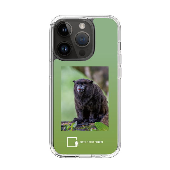 Slim Protection Case［ Green Future Project - Black-mantled Tamarin ］