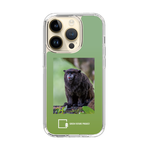 Slim Protection Case［ Green Future Project - Black-mantled Tamarin ］