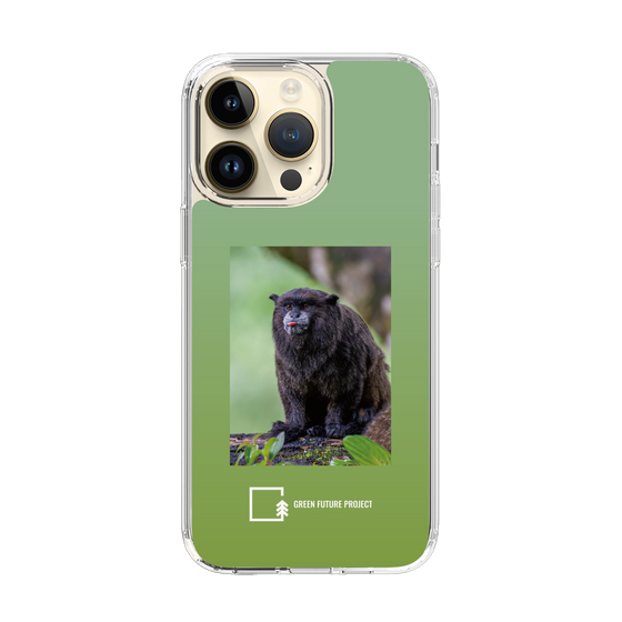 Slim Protection Case［ Green Future Project - Black-mantled Tamarin ］