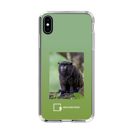 Slim Protection Case［ Green Future Project - Black-mantled Tamarin ］