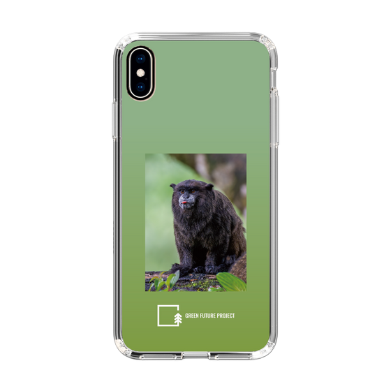 Slim Protection Case［ Green Future Project - Black-mantled Tamarin ］