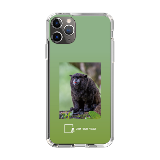 Slim Protection Case［ Green Future Project - Black-mantled Tamarin ］