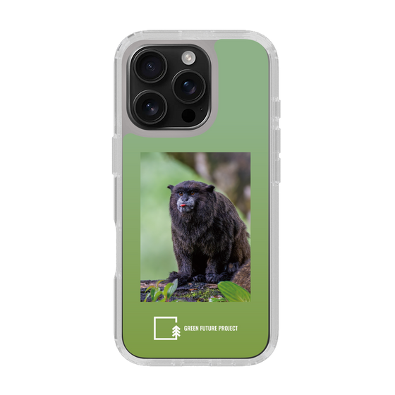 Slim Protection Case［ Green Future Project - Black-mantled Tamarin ］