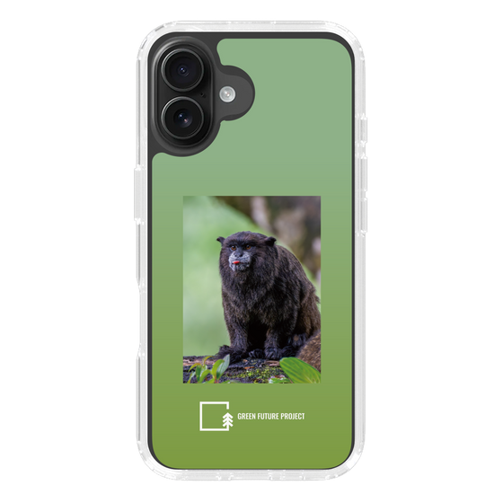 Slim Protection Case［ Green Future Project - Black-mantled Tamarin ］