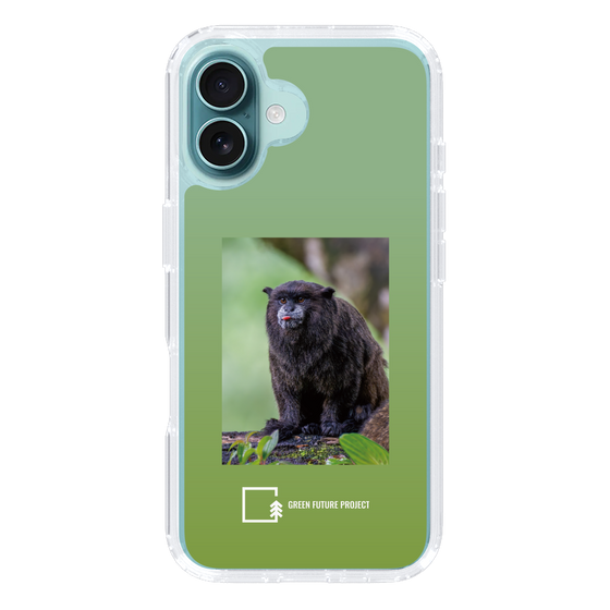 Slim Protection Case［ Green Future Project - Black-mantled Tamarin ］