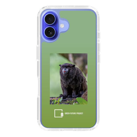 Slim Protection Case［ Green Future Project - Black-mantled Tamarin ］