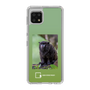 Slim Protection Case［ Green Future Project - Black-mantled Tamarin ］