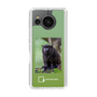 Slim Protection Case［ Green Future Project - Black-mantled Tamarin ］