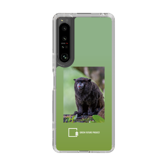 Slim Protection Case［ Green Future Project - Black-mantled Tamarin ］