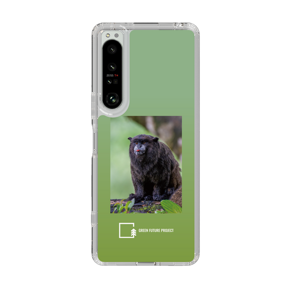 Slim Protection Case［ Green Future Project - Black-mantled Tamarin ］