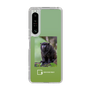 Slim Protection Case［ Green Future Project - Black-mantled Tamarin ］