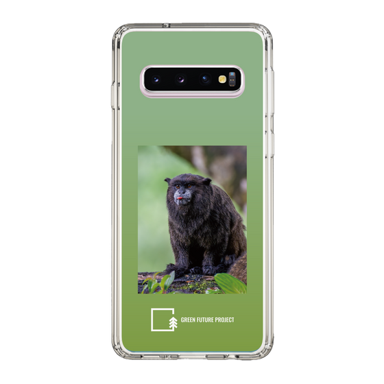 Slim Protection Case［ Green Future Project - Black-mantled Tamarin ］
