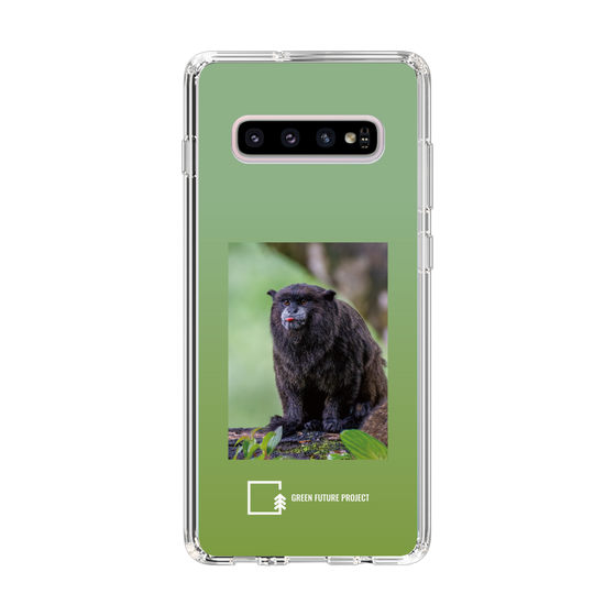 Slim Protection Case［ Green Future Project - Black-mantled Tamarin ］