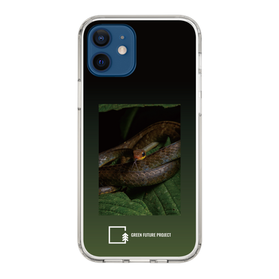 Slim Protection Case［ Green Future Project - Chironius ］